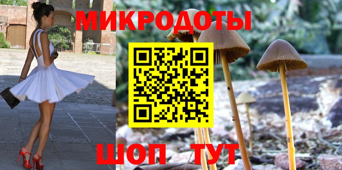 Псилоцибиновые грибы Magic Shrooms  Вход с VPN  Зима 