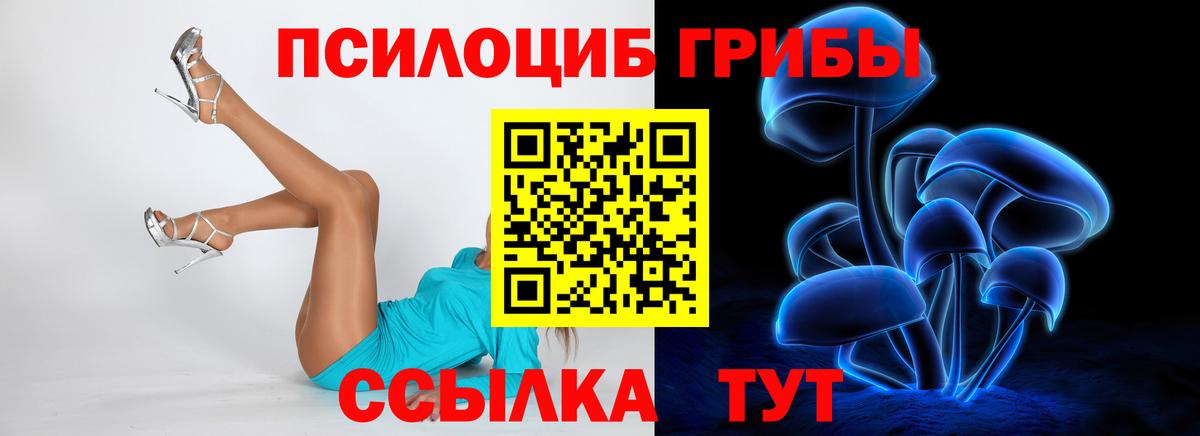 Галлюциногенные грибы Cubensis Зима